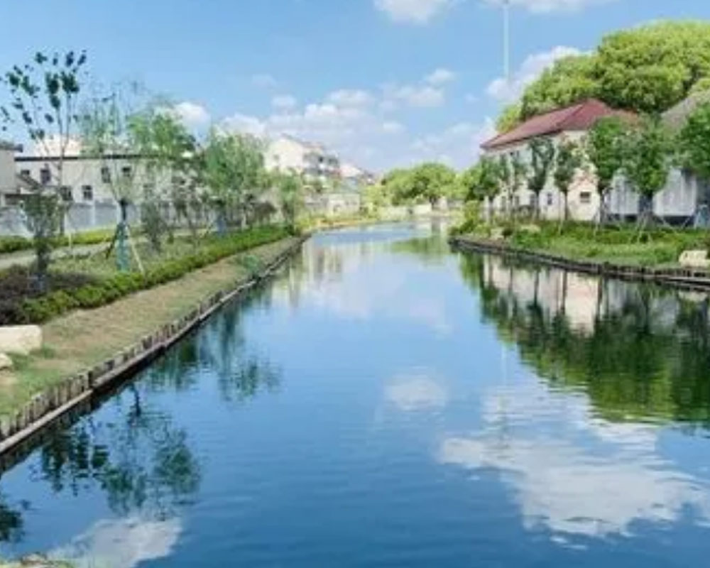 黑臭水体消号评估报告